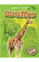 Giraffes