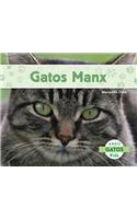 Gatos Manx (Manx Cats)