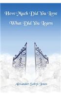 How Much Did You Love - What Did You Learn