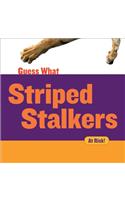 Striped Stalkers