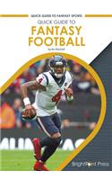 Quick Guide to Fantasy Football
