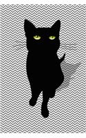 Black Cat Spells