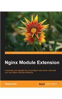 Nginx Module Extension