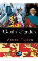 Cyfres Cip ar Gymru / Wonder Wales: Owain Glyndwr