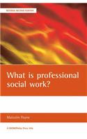 What Is Professional Social Work?