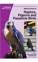 BSAVA Manual of Raptors, Pigeons and Passerine Birds