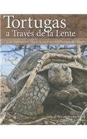 Tortugas a Traves de La Lente