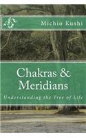 Chakras & Meridians