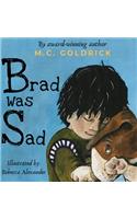 Brad was Sad