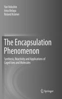 Encapsulation Phenomenon