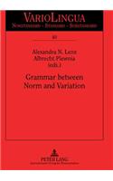 Grammar Between Norm and Variation