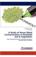 Study of Heavy Metal Contamination in Roadside Soil & Vegetables