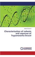 Characterisation of cohesin and separase of Trypanosoma brucei