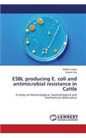 ESBL producing E. coli and antimicrobial resistance in Cattle