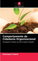 Comportamento de Cidadania Organizacional
