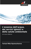 L'essenza dell'acqua, dei servizi igienici e della salute ambientale