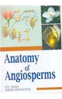 Anatomy of Angiosperms