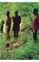 Roy Villevoye: Propellor