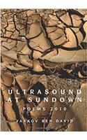 Ultrasound at Sundown: Poems 2010