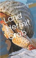 Land Hermit Crab