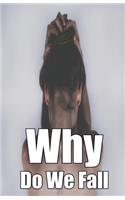 Why Do We Fall