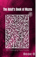 The Adult's Book Of Mazes
