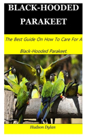 Black-Hooded Parakeet