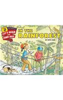 In the Rainforest