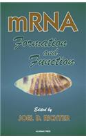 Mrna Formation and Function