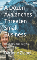 Dozen Avalanches Threaten Small Business