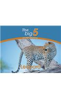 Leopard: The Big 5 and other wild animals