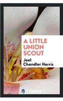 A Little Union Scout