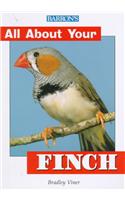 Finch
