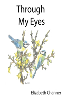 Through My Eyes