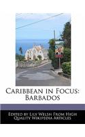 Caribbean in Focus