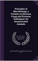 Principles of Microbiology; a Treatise on Bacteria, Fungi and Protozoa Pathogenic for Domesticated Animals