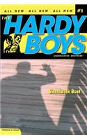 Boardwalk Bust: Volume 3(Hardy Boys (All New) Undercover Brothers)