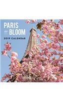 Paris in Bloom 2019 Wall Calendar