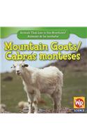 Mountain Goats / Cabra Montés