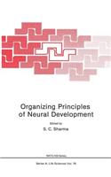 Organizing Principles of Neural Development