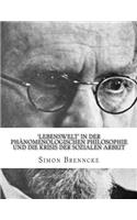 'Lebenswelt' in der Phänomenologischen Philosophie und die Krisis der Sozialen Arbeit: Masterarbeit(German)