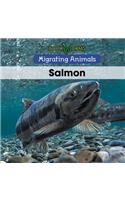 Salmon: (Migrating Animals)