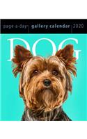 Dog Page-A-Day Gallery Calendar 2020