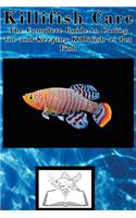 Killifish Care
