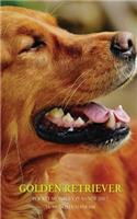 Golden Retriever Pocket Monthly Planner 2017: 16 Month Calendar