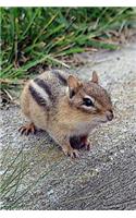 Chipmunk Journal