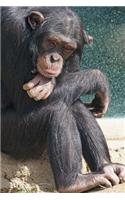 Mom, I'm Bored. Common Chimpanzee (Pan troglodytes) Journal: 150 Page Lined Notebook/Diary