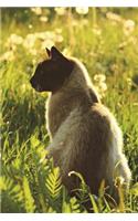 Siamese Cat Enjoys the Great Outdoors Journal