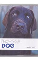 Know Your Dog