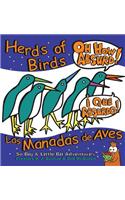 Herds of Birds, Oh How Absurd!